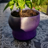 Flower Pot with Saucer image