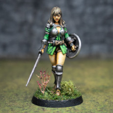 Picture of print of Adventurer - Female Fighter