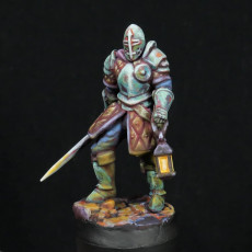 Picture of print of Adventurer - Male Fighter