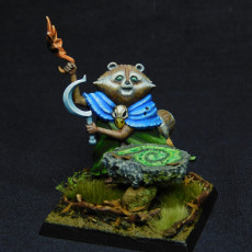 Picture of print of Terrabella, Tanukin Druid (Pre-Supported)