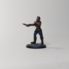 Picture of print of Rogue assassin