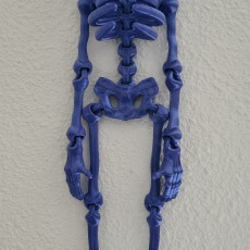 Picture of print of CUTE FLEXI PRINT-IN-PLACE SKELETON