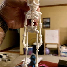 Picture of print of CUTE FLEXI PRINT-IN-PLACE SKELETON This print has been uploaded by Eric McCormick