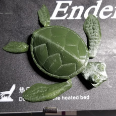 Picture of print of CUTE FLEXI PRINT-IN-PLACE TURTLE