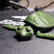 Picture of print of CUTE FLEXI PRINT-IN-PLACE TURTLE