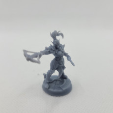 Picture of print of Ashen Alfar Inquisitor - Modular D (lady)