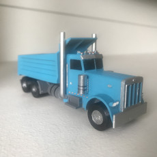 Picture of print of Peety 379 Dump Truck 1/64 scale