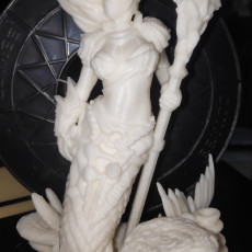 Picture of print of Mermaid Warrior Princess