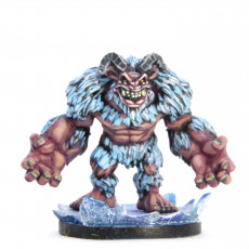 Picture of print of Yeti 1