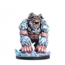 Picture of print of Yeti 2