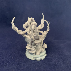 Picture of print of Druidism counter for  wargames