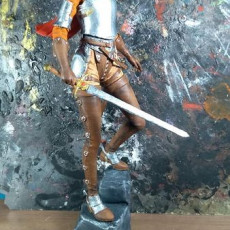 Picture of print of Casca from Berserk 25cm