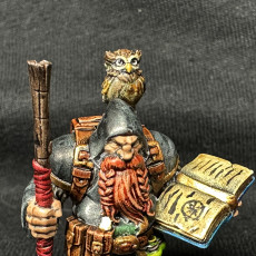 Picture of print of Dramnir - Dwarf Wizard with owl - 32mm - DnD