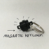 Magnetic Key Clasp image