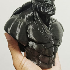 Picture of print of TMNT bust (fan art)