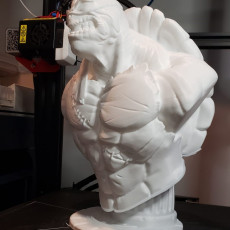 Picture of print of TMNT bust (fan art)