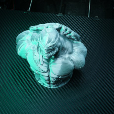 Picture of print of TMNT bust (fan art) 这个打印已上传 iczfirz