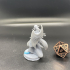 Siln Tanadu Moon Elf Cleric tabletop miniature 32mm Perfect for D&D, Pathfinder and Tabletop RPG's image