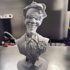 Picture of print of JOKER Support Free This print has been uploaded by Namu3D