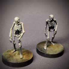 Picture of print of Undead Skeleton Walkers - Tabletop Miniature