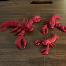 Picture of print of CUTE FLEXI PRINT-IN-PLACE Lobster