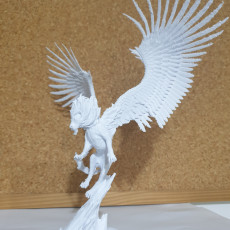 Picture of print of Celestial Lion Landing Pose #3