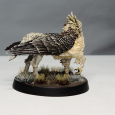 Picture of print of Hippogriff ( Winged version)