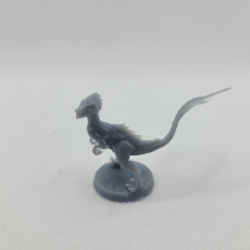 Picture of print of Feathered Raptors (5 pack/ All poses)