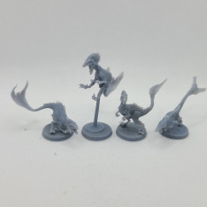 Picture of print of Feathered Raptors (5 pack/ All poses)