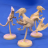 Feathered Raptors (5 pack/ All poses) image