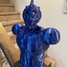 Picture of print of Guyver Bust Support Free