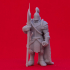 Armored Fighter - Tabletop Miniature print image