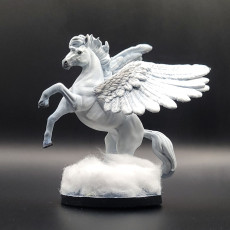 Picture of print of Pegasus