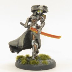 Picture of print of Akane - From Wasteland - 32mm - DnD -