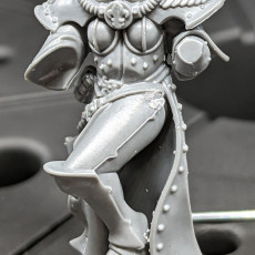 Picture of print of Female Prime Space Knight Heads