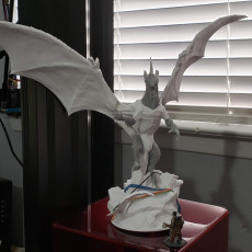 Picture of print of Grey Dragon