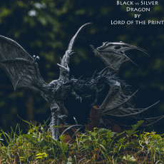 Picture of print of Dark Dragon VS Grey Dragon