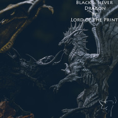 Picture of print of Dark Dragon VS Grey Dragon
