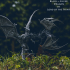 Dark Dragon VS Grey Dragon print image