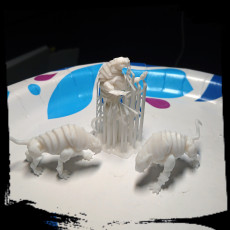 Picture of print of Mechanimals - Sabertooth This print has been uploaded by MechaTails
