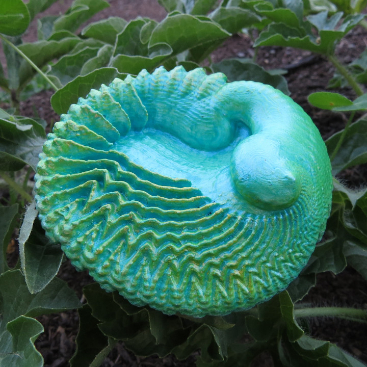 Feather Shell - 3D fractal artifact