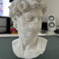 Picture of print of David Bust with Medical Mask