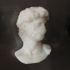 Picture of print of David Bust with Medical Mask This print has been uploaded by Алексей Задеряка