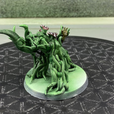 Picture of print of Welcome pack Shambling mound