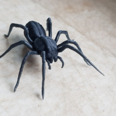 Picture of print of Free Giant Spider