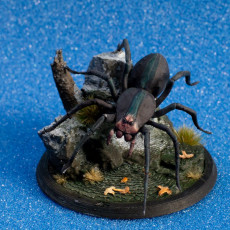 Picture of print of Free Giant Spider
