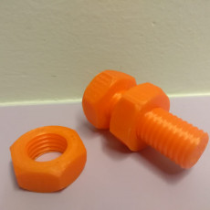 Picture of print of Double Threaded Screw