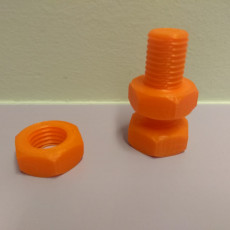 Picture of print of Double Threaded Screw