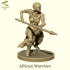 African Warriors image