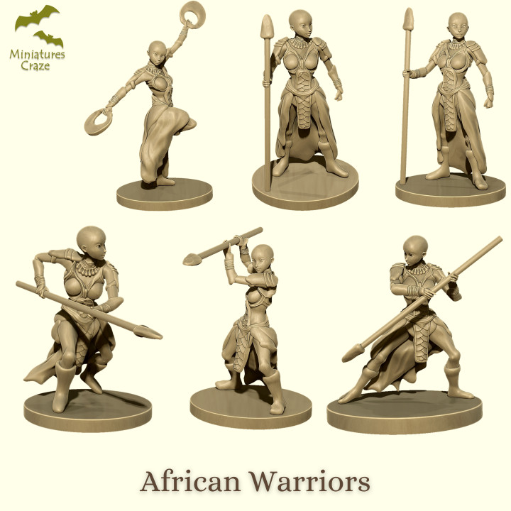African Warriors's Cover